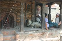 IMG_8548 Bhaktapur  Maenner Ziege Altar.jpg